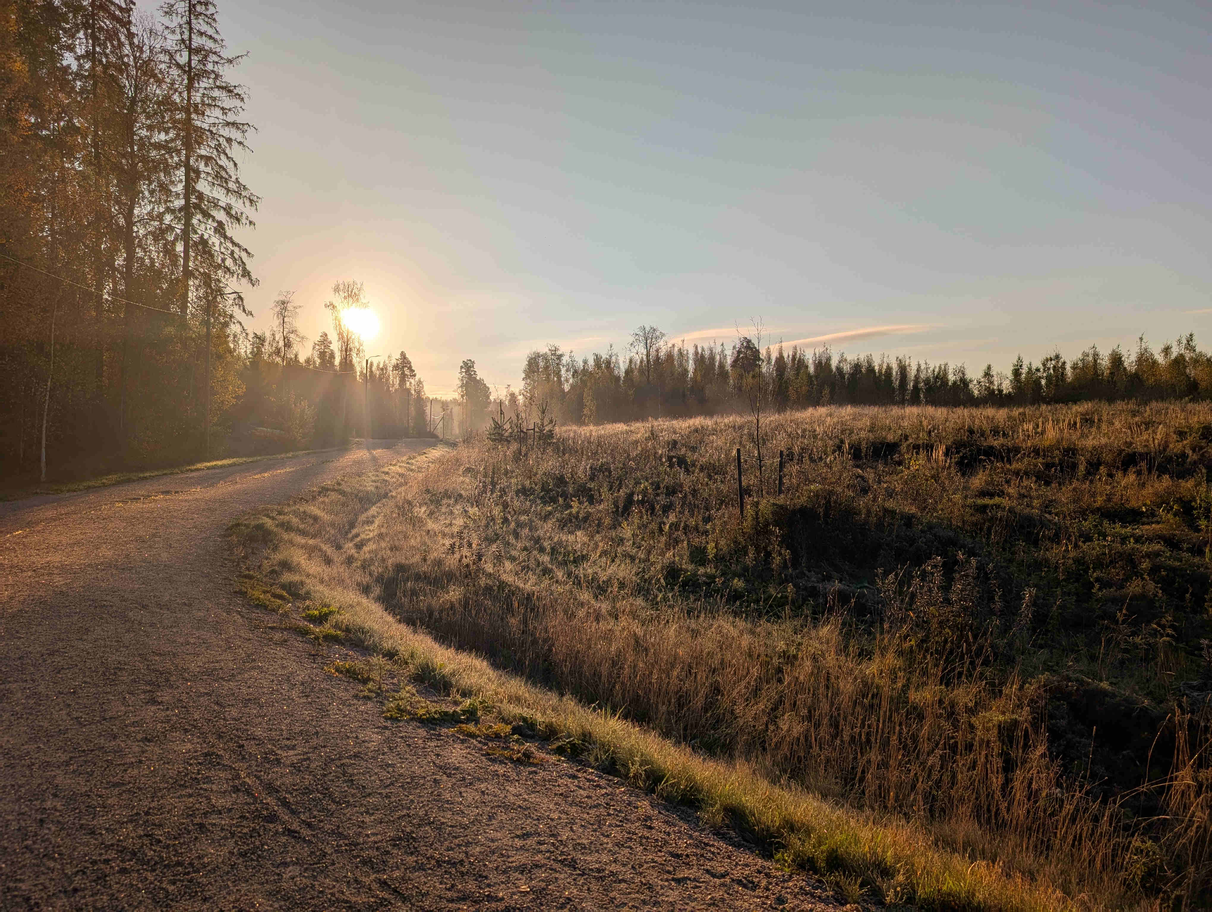Autumn in Finland