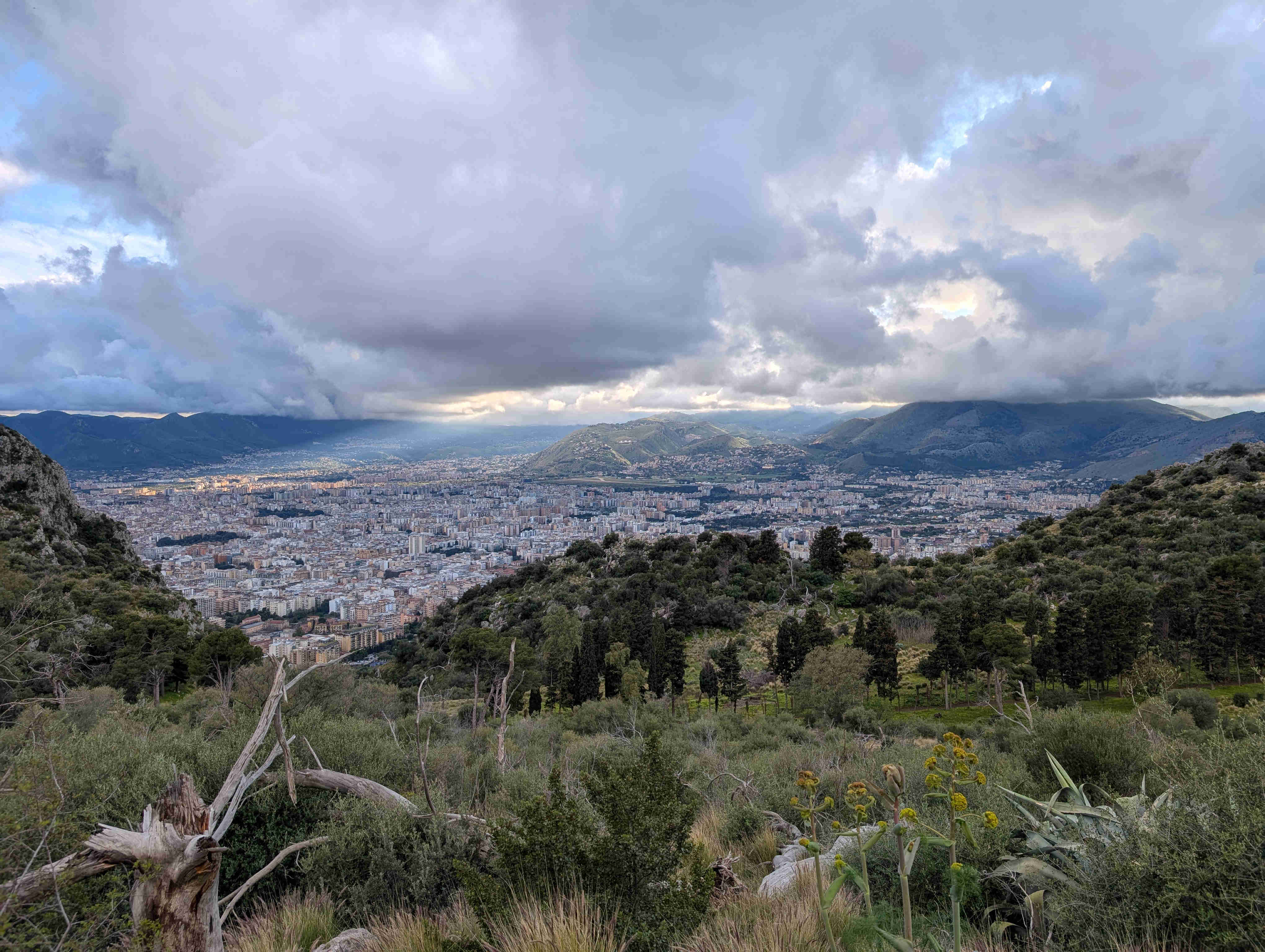 Palermo Skyline